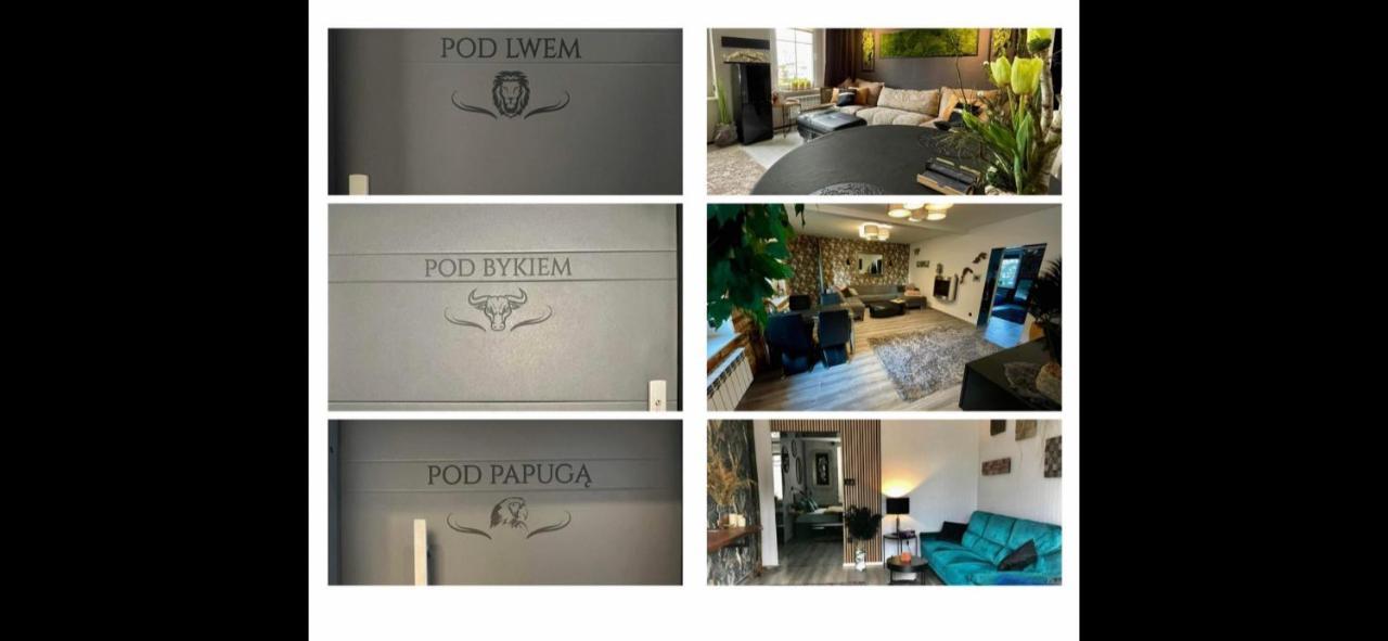 Pod Lwem Appartement Kościerzyna Buitenkant foto